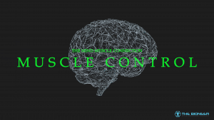 Muscle Control