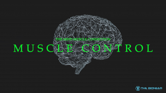 Muscle Control