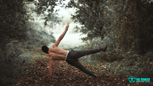 Spinal stability