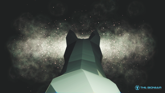 Cosmic cat