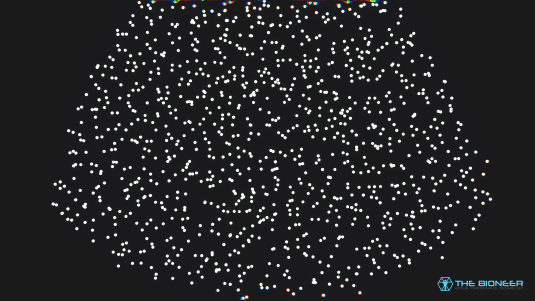 Entropy