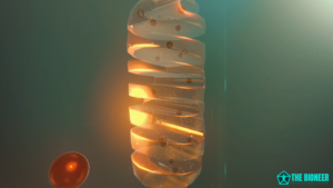 ROS Mitochondria