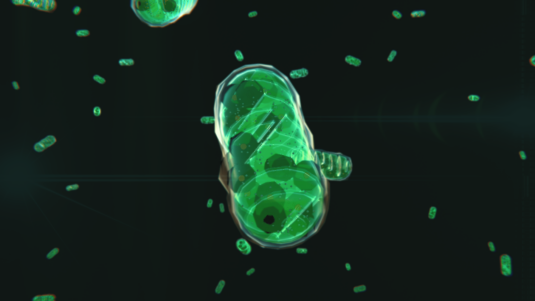 A comprehensive guide to your mitochondria.