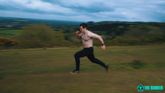 Mitochondria Endurance