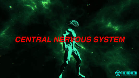 CNS