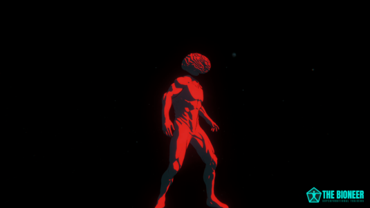 Nervous System