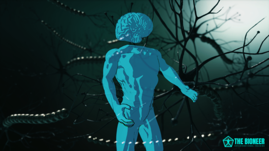 Brain Controls Movement