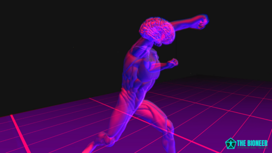 Movement Patterns