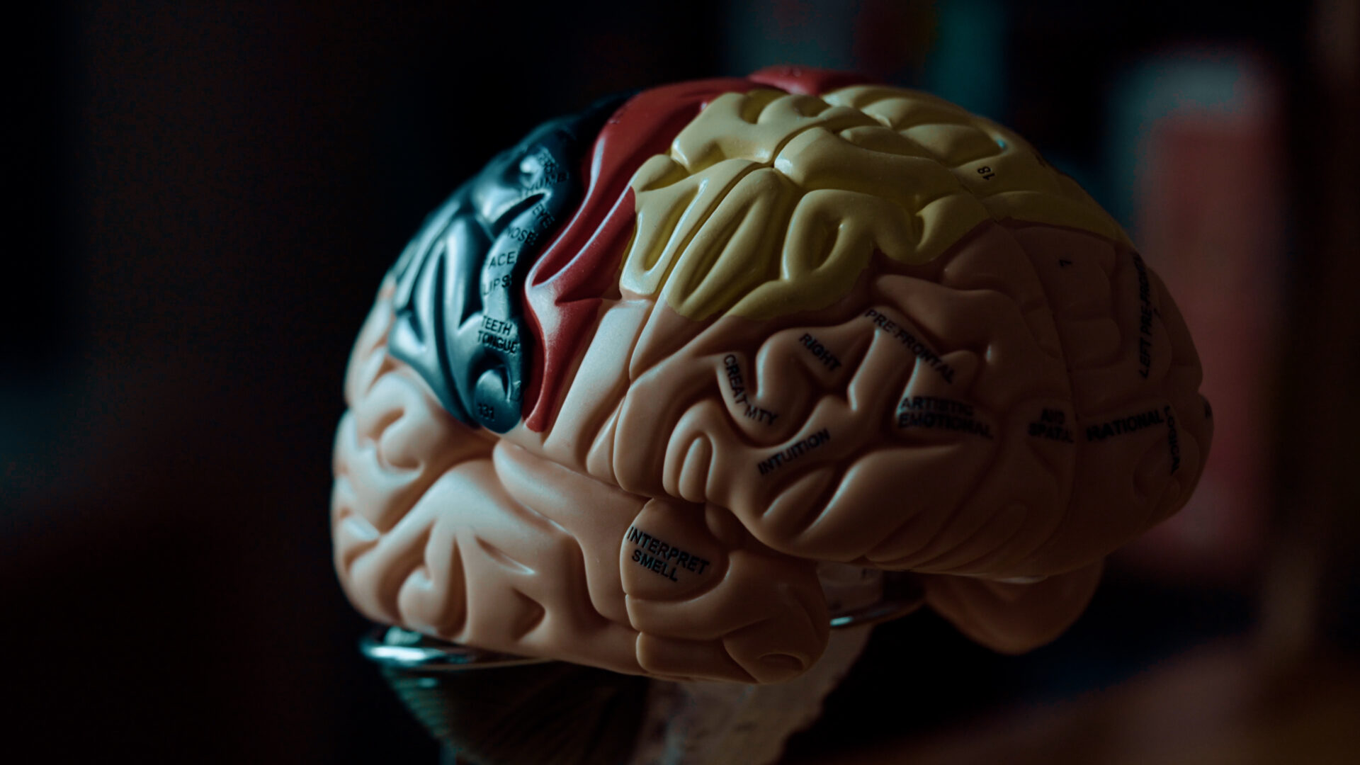 This Powerful Learning Method Creates a Map of Your Own, Messy Brain