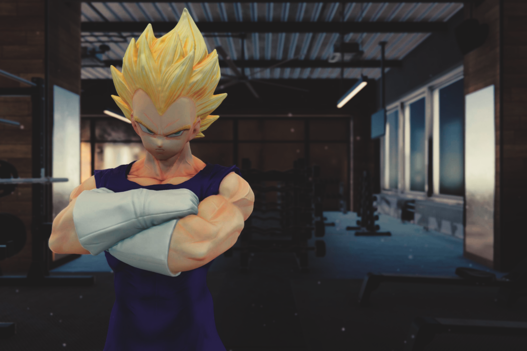 Vegeta gym